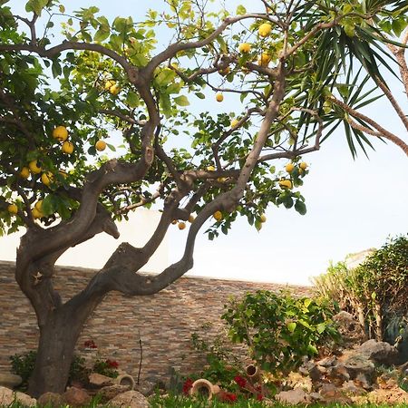 Kimos Bed and Breakfast San Vito Lo Capo Buitenkant foto